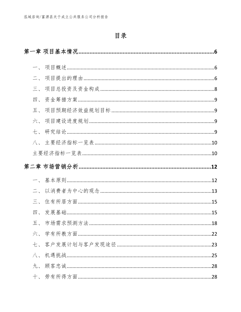 富源县关于成立公共服务公司分析报告【模板】_第2页