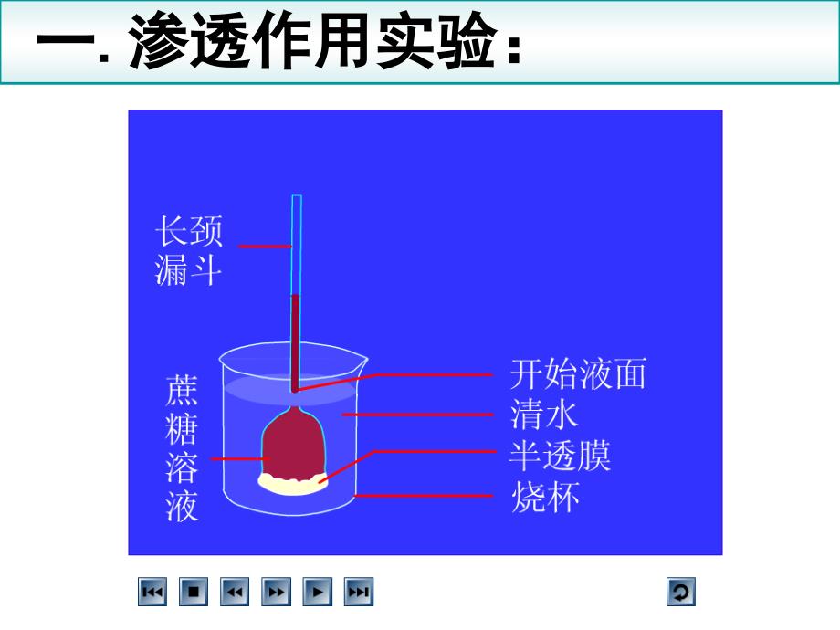 生物：4.1《物质跨膜运输的实例》课件(新人教版必修1)湖南师大_第2页