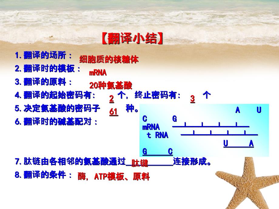 201x高中生物专题4.1.2基因指导蛋白质的合成提升版必修_第3页