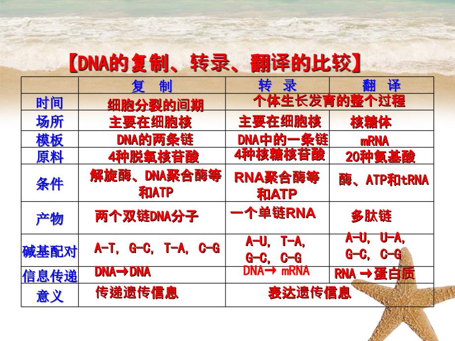 201x高中生物专题4.1.2基因指导蛋白质的合成提升版必修_第4页