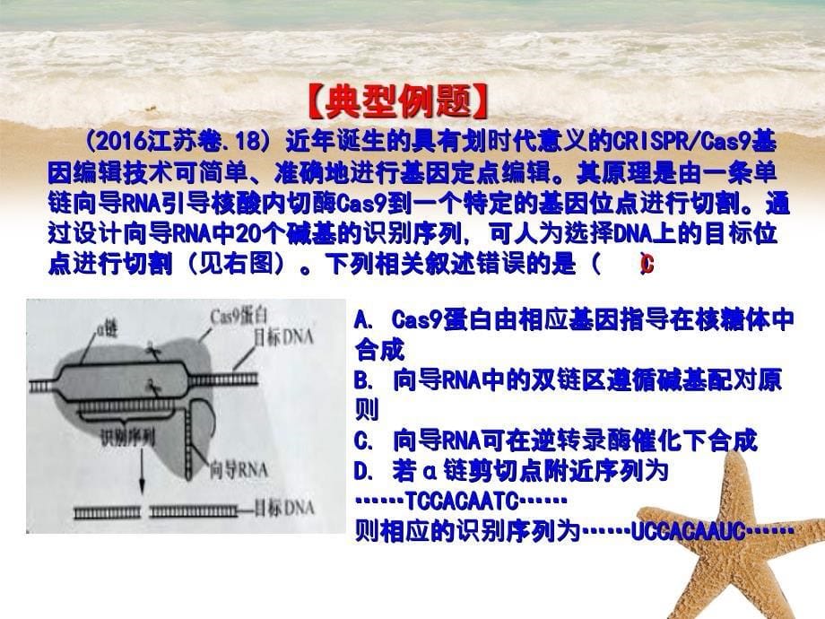 201x高中生物专题4.1.2基因指导蛋白质的合成提升版必修_第5页