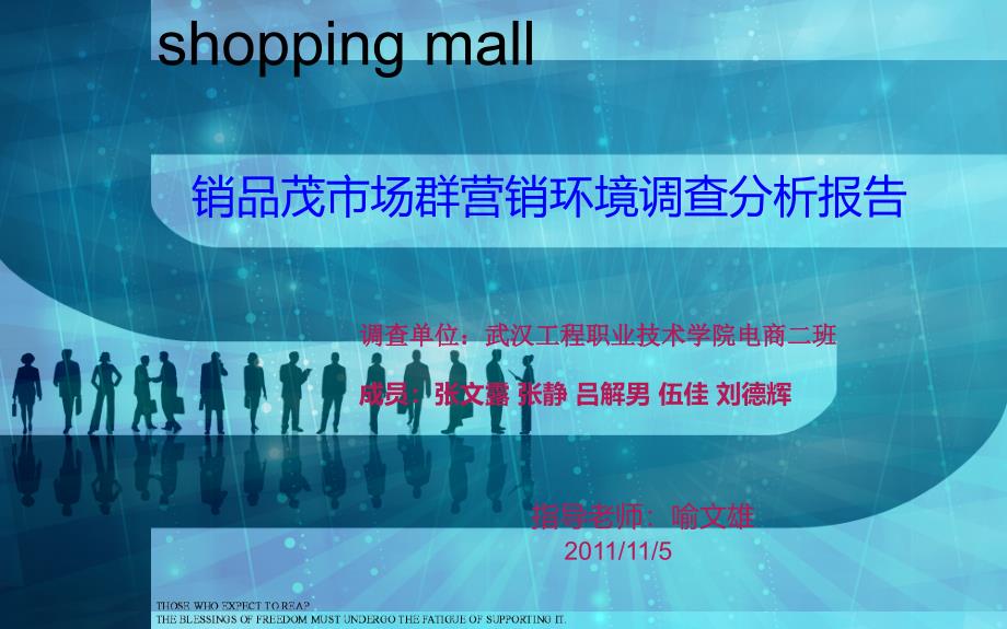 销品茂市场营销调查报告_第1页
