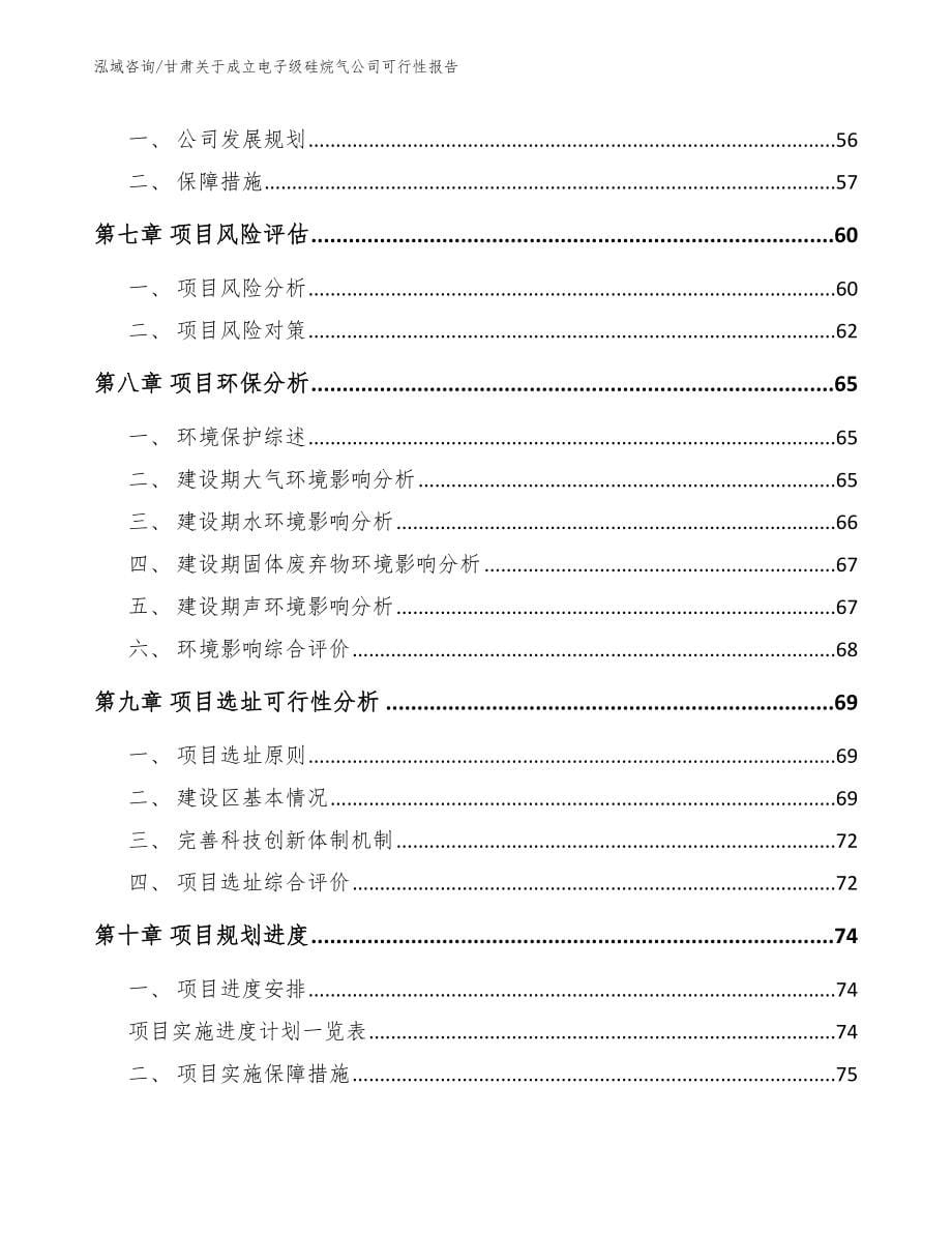 甘肃关于成立电子级硅烷气公司可行性报告_第5页