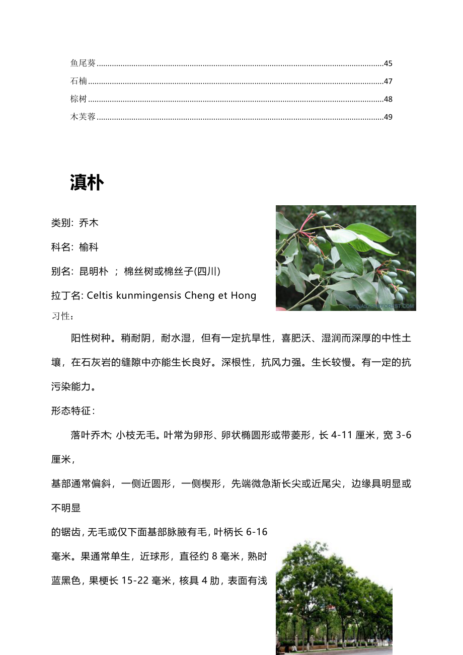 云南常见植物习性及病虫害.doc_第2页