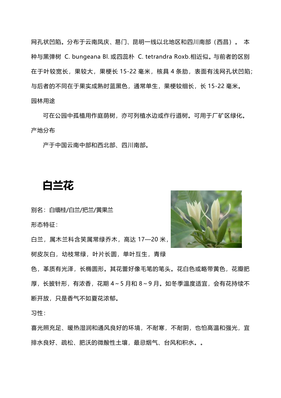 云南常见植物习性及病虫害.doc_第3页