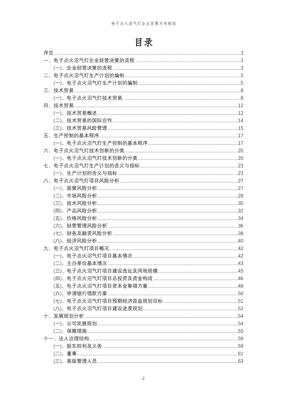 2023年电子点火沼气灯企业发展方向规划_第2页