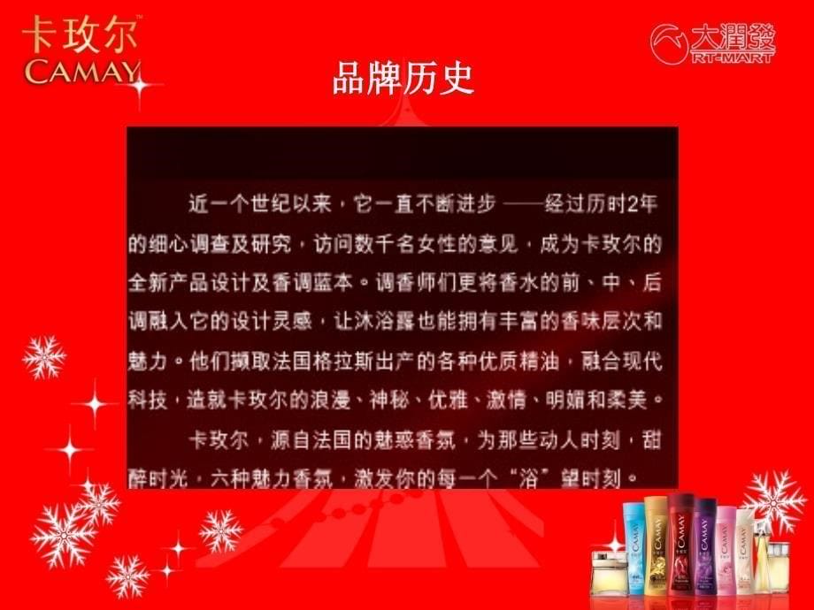 卡玫尔沐浴露迷情圣诞活动策划方案_第5页