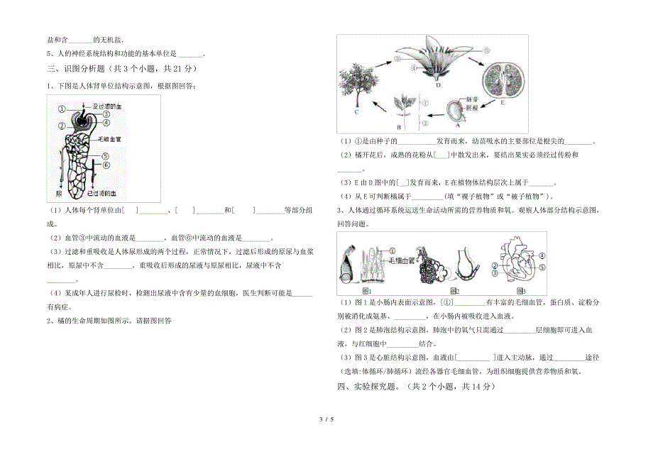 初中七年级生物上册期末考试(带答案)_第3页