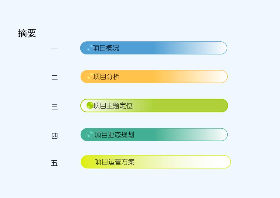 项目策划方案_第2页