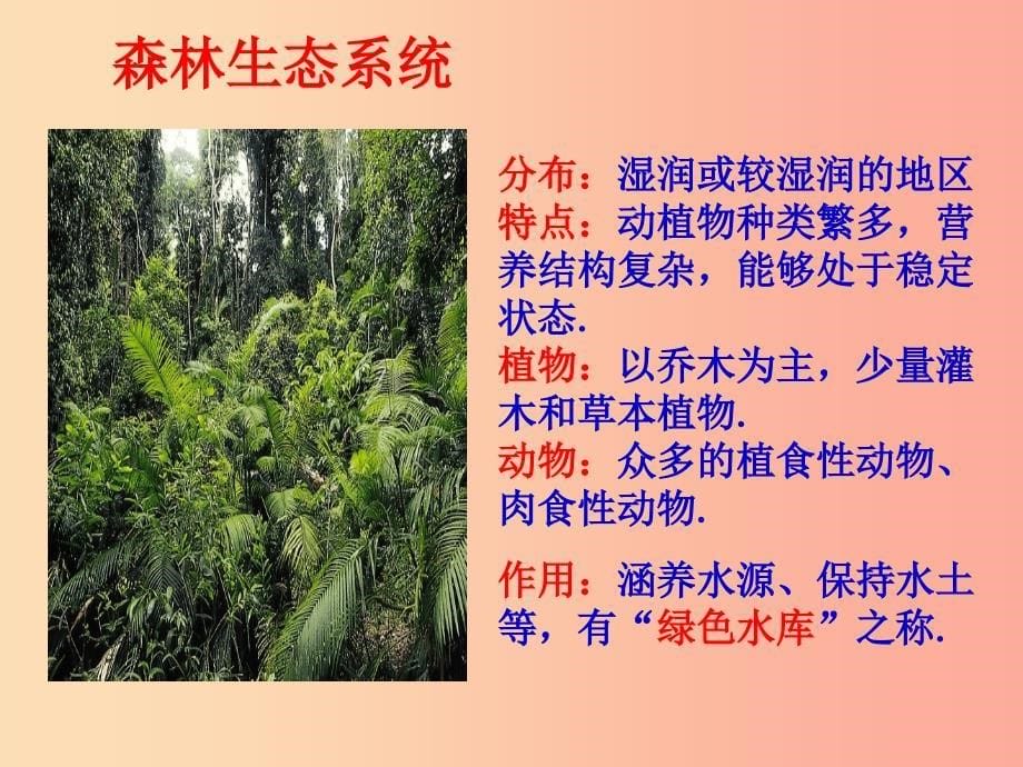 山东省八年级生物下册 6.2.4《生态系统的类型》课件（新版）济南版.ppt_第5页