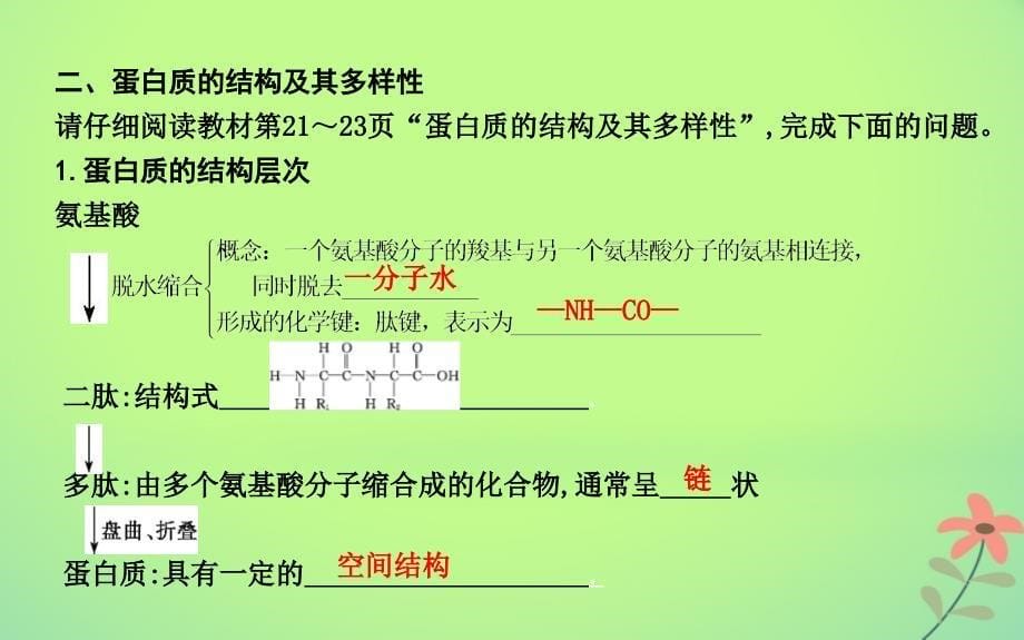 高中生物第2章组成细胞的分子第2节生命活动的主要承担者mdash蛋白质课件新人教版必修1_第5页