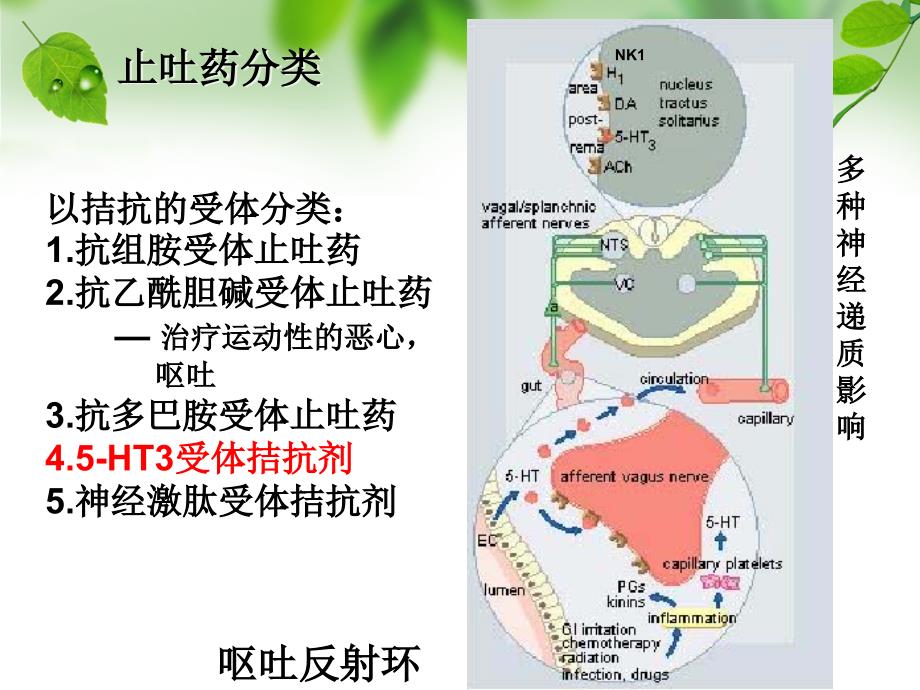 第二节止吐药 ppt课件_第4页