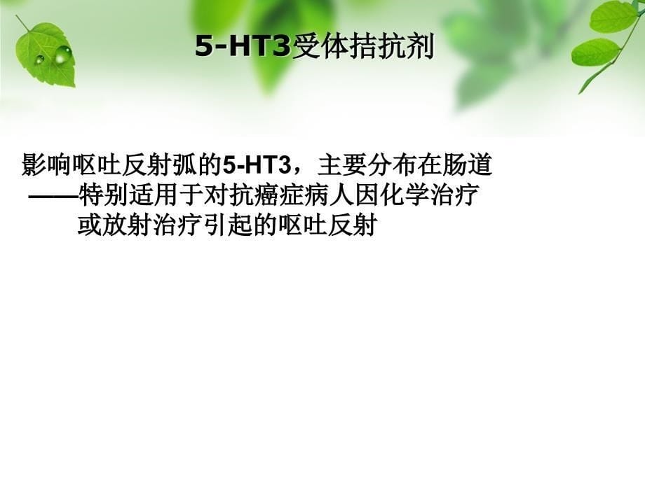 第二节止吐药 ppt课件_第5页