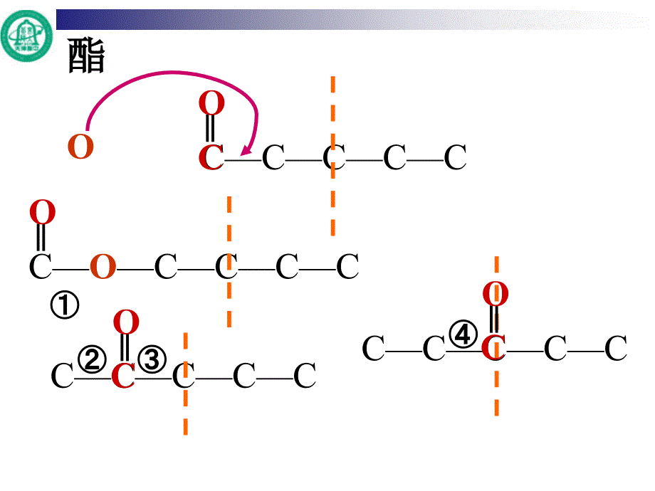 有机物同分异构体的书写_第4页