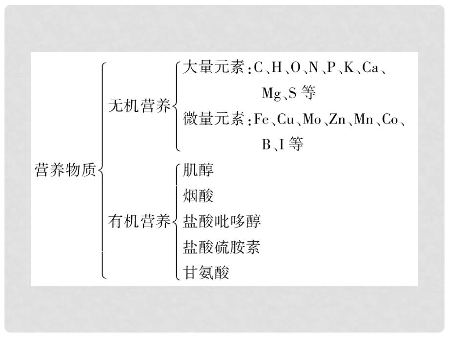 高考生物二轮专题突破总复习 第40讲 浅尝现代生物技术课件 新人教版选修1_第4页