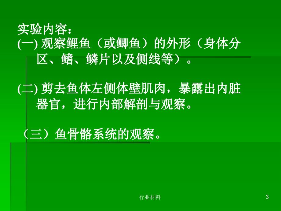 鲤鱼解剖实验【沐风书苑】_第3页