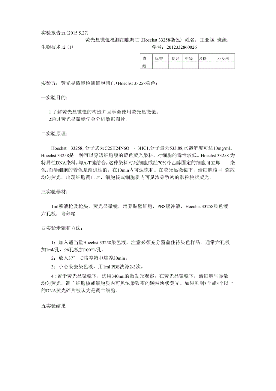 荧光显微镜检测细胞凋亡_第1页