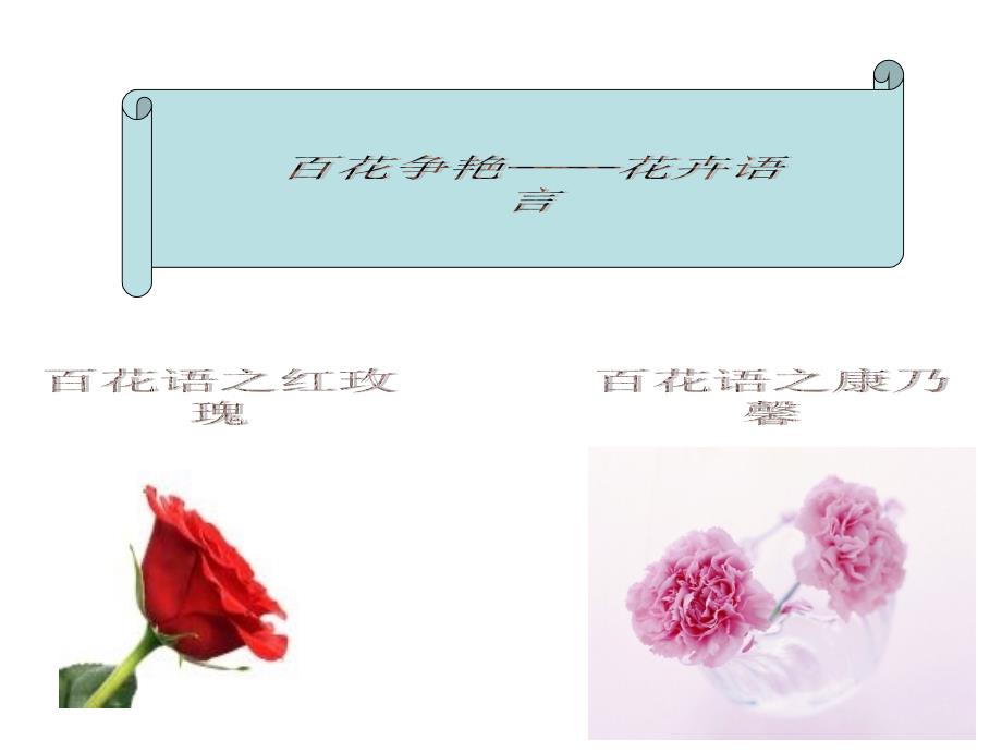 玫瑰康乃馨花语新_第1页