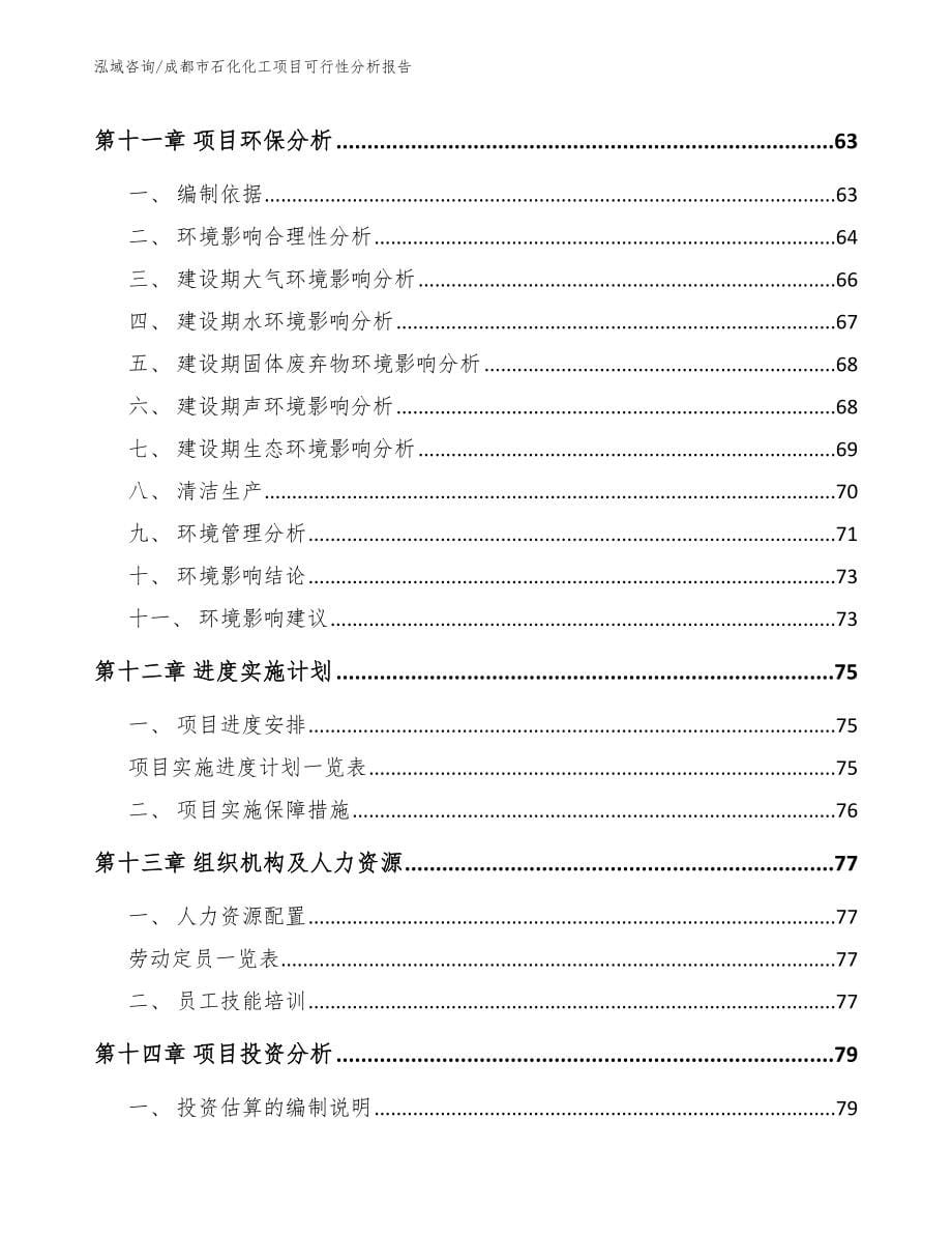 成都市石化化工项目可行性分析报告_模板范文_第5页