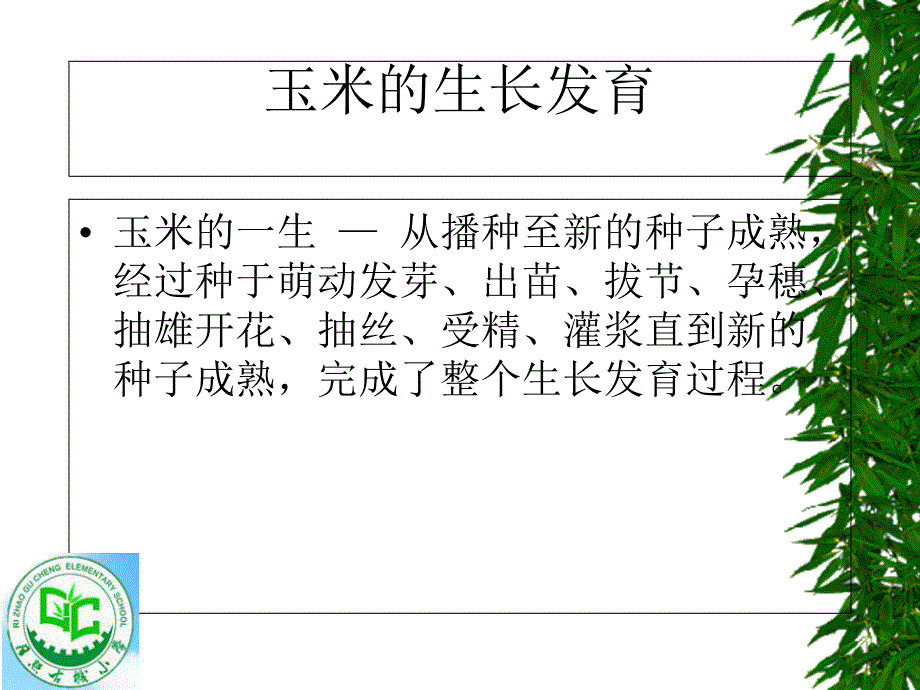 玉米栽培.ppt剖析_第3页