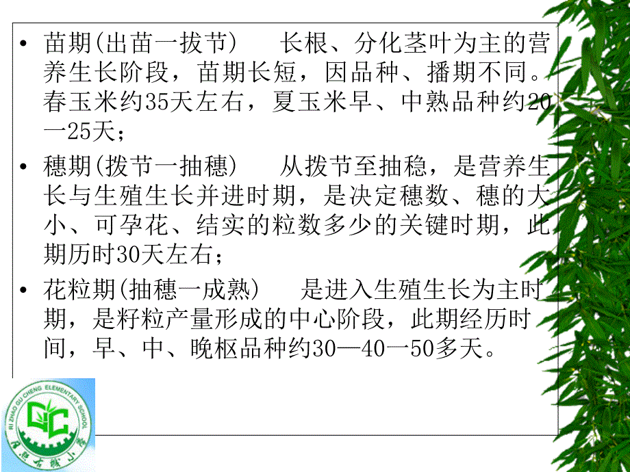 玉米栽培.ppt剖析_第4页