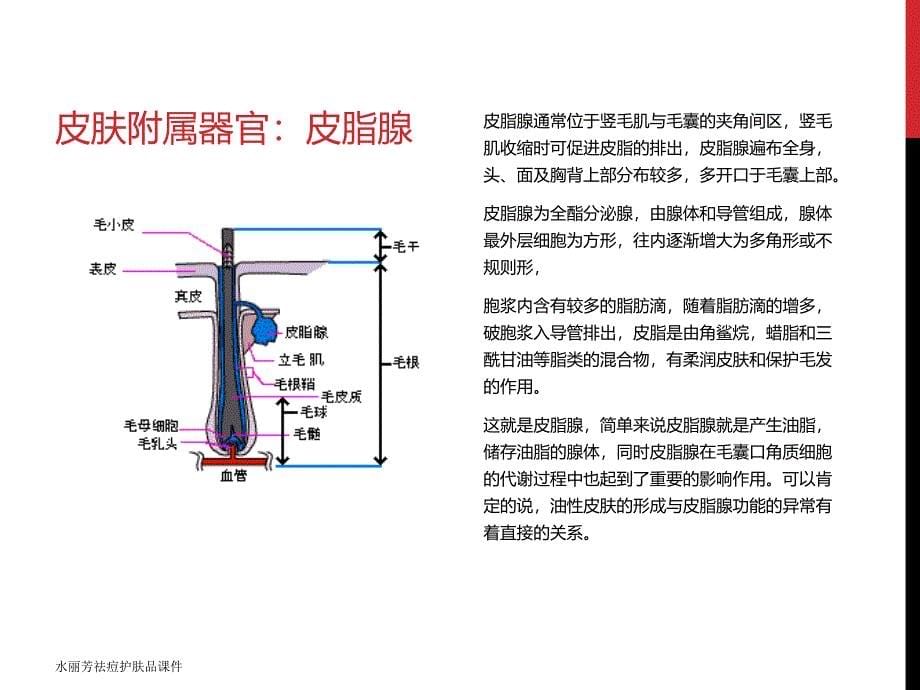 水丽芳祛痘护肤品课件_第5页