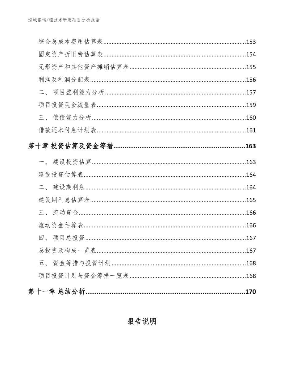 锂技术研发项目分析报告（参考范文）_第5页