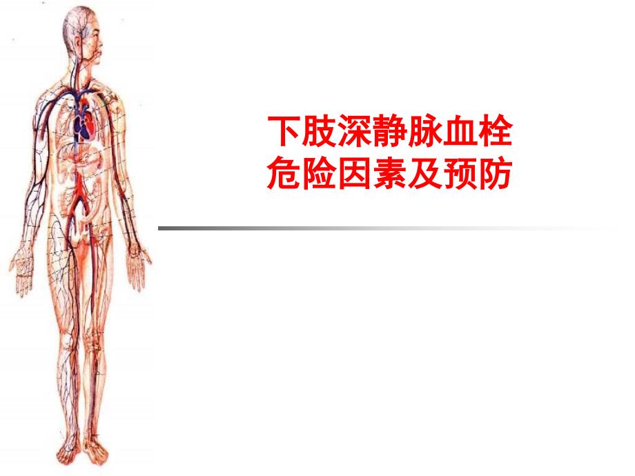 下肢深静脉血栓危险因素及预防ppt课件_第1页