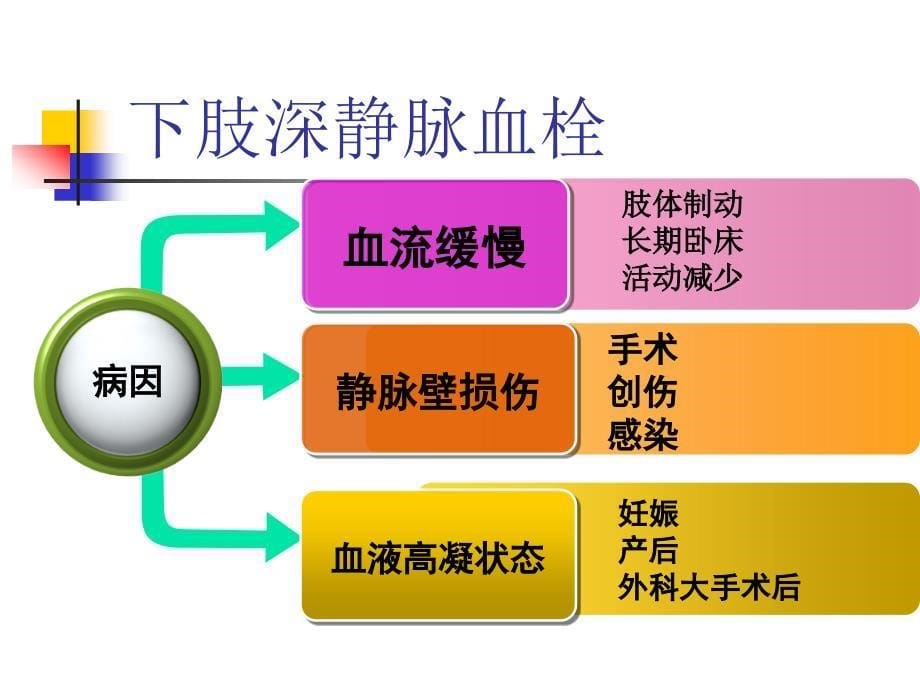 下肢深静脉血栓危险因素及预防ppt课件_第5页