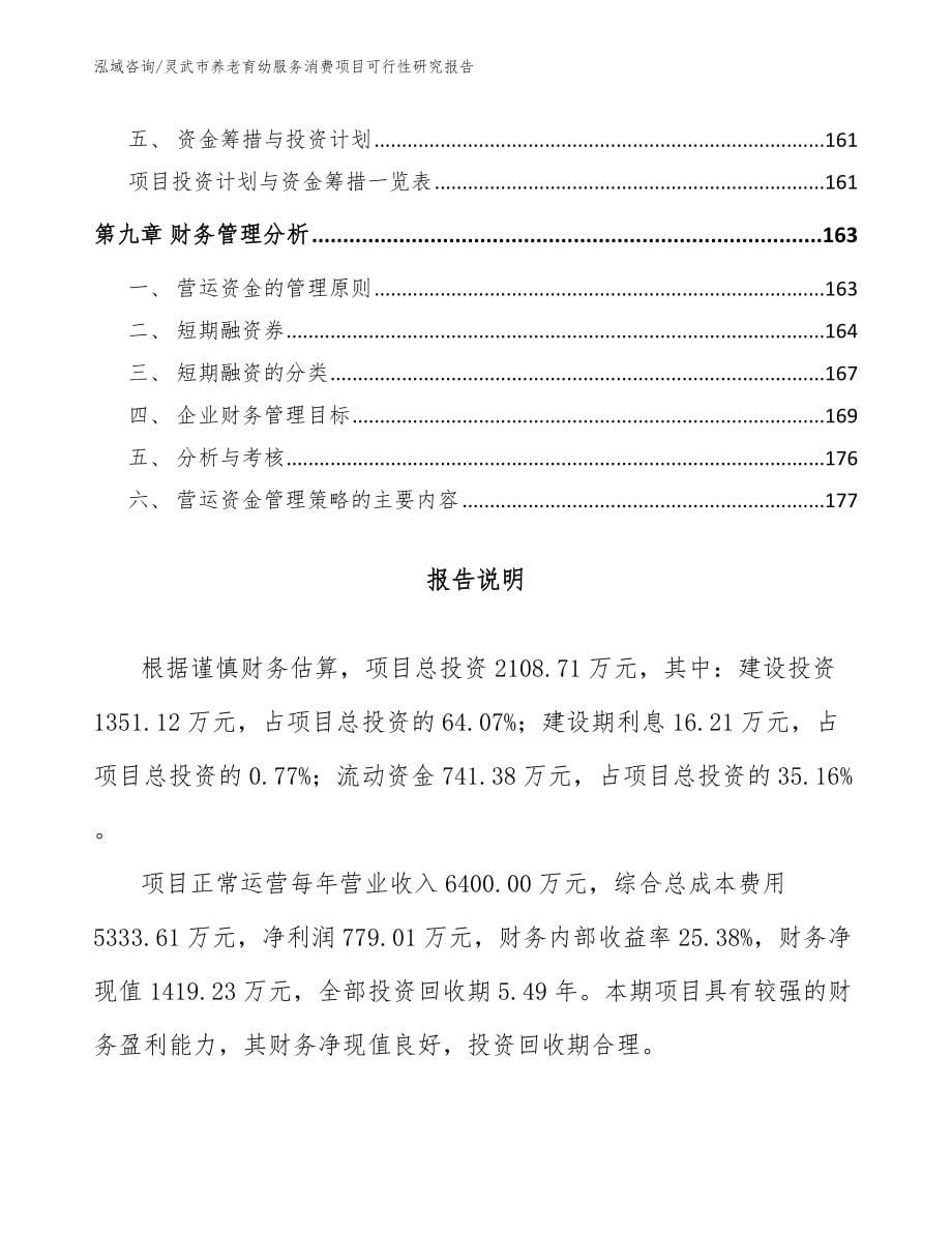 灵武市养老育幼服务消费项目可行性研究报告【模板范文】_第5页