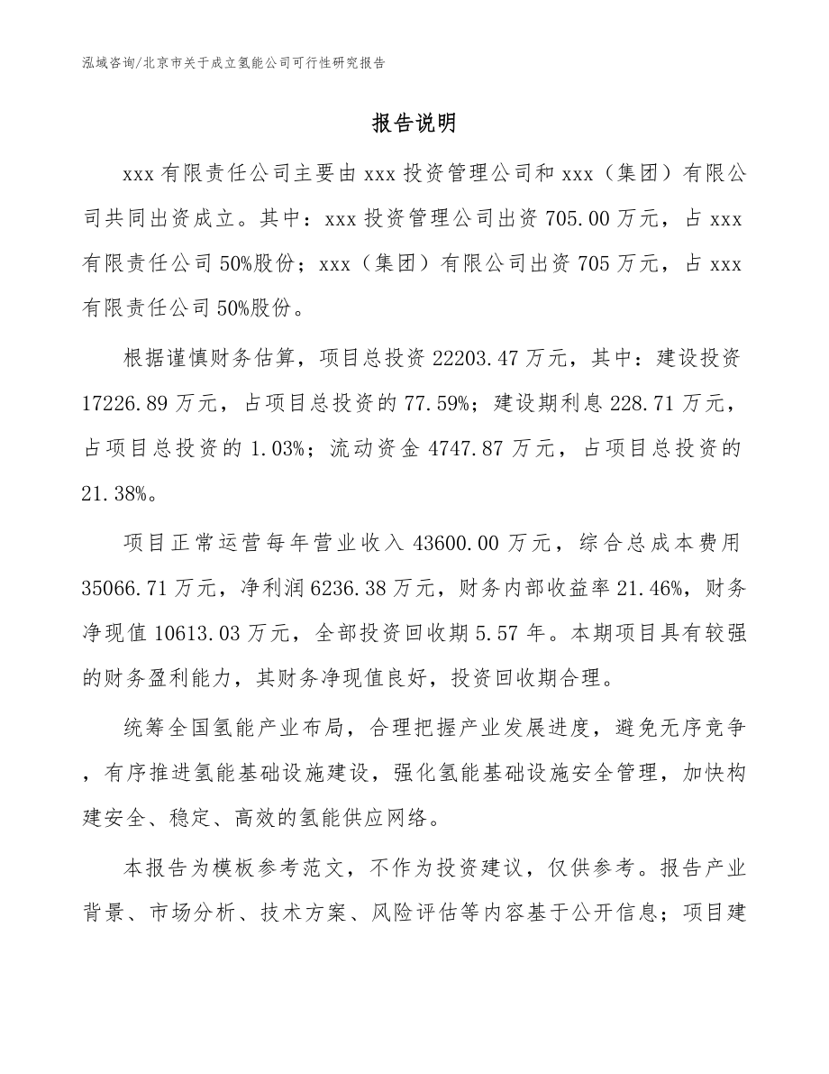 北京市关于成立氢能公司可行性研究报告（参考模板）_第2页