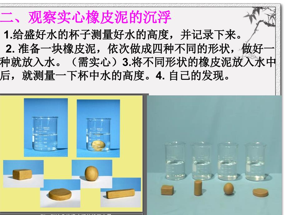 教科版科学五年级下册第一单元第三课ppt课件_第3页