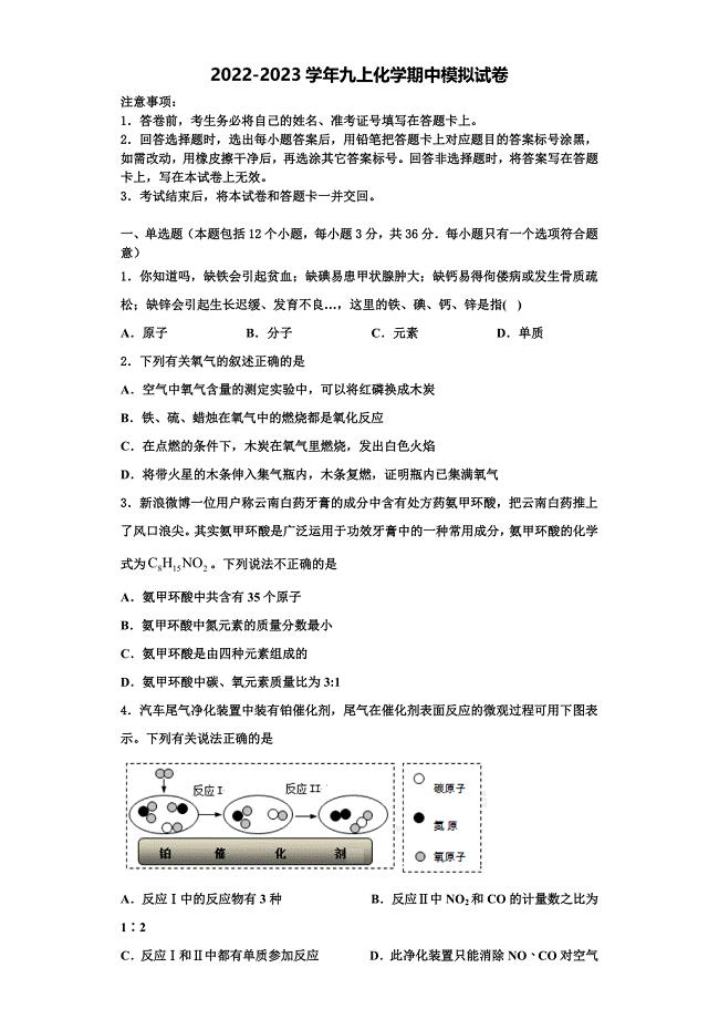 上海市奉贤区名校2022-2023学年化学九年级第一学期期中学业水平测试试题含解析.doc