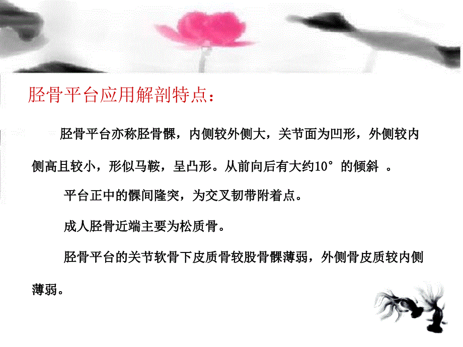 胫骨平台骨折治疗分型PPT课件_第2页