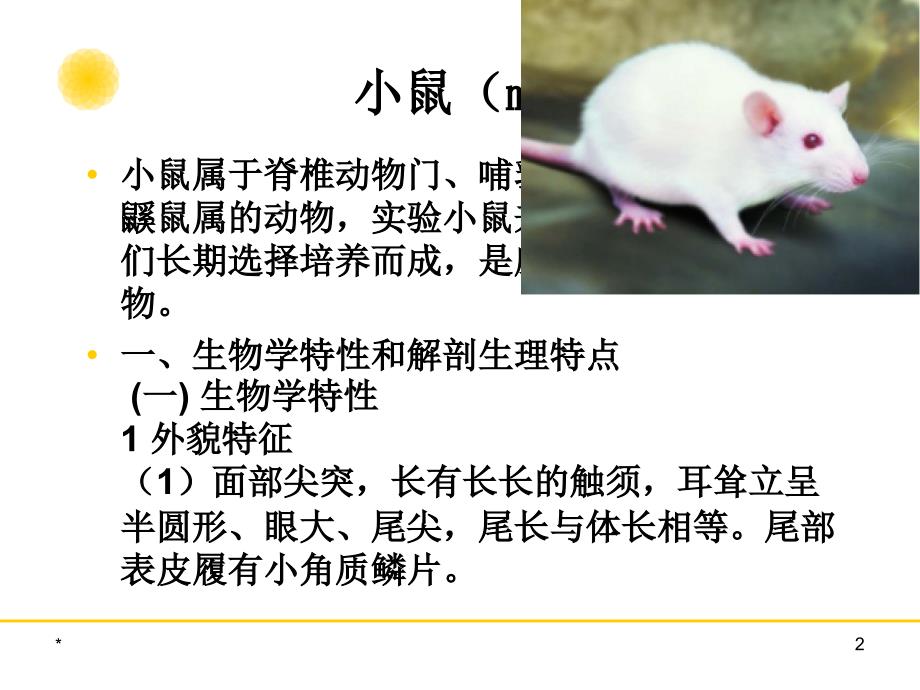 实验动物学教学课件：第三章 常用实验动物生物学特性及应用1_第2页