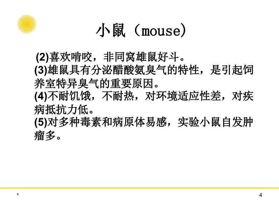 实验动物学教学课件：第三章 常用实验动物生物学特性及应用1_第4页