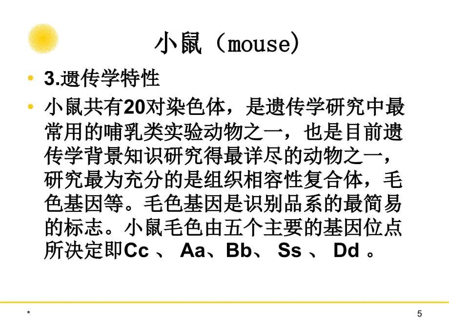 实验动物学教学课件：第三章 常用实验动物生物学特性及应用1_第5页