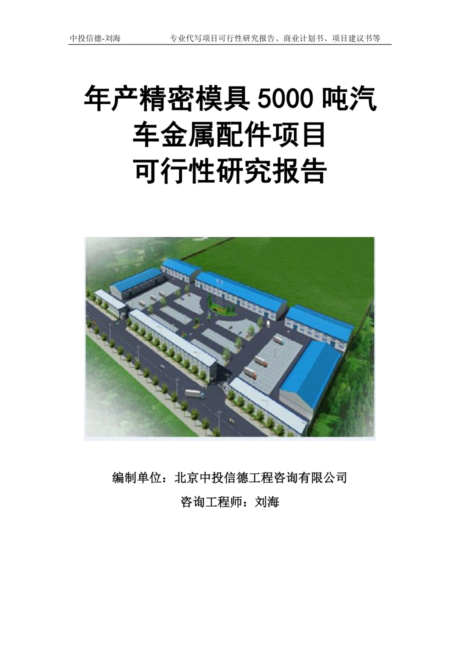 年产精密模具5000吨汽车金属配件项目可行性研究报告模板立项审批_第1页