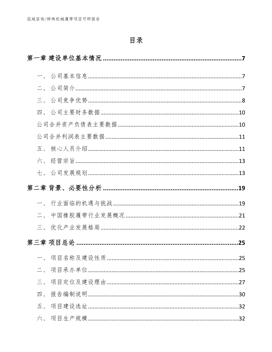 特殊机械履带项目可研报告模板_第1页