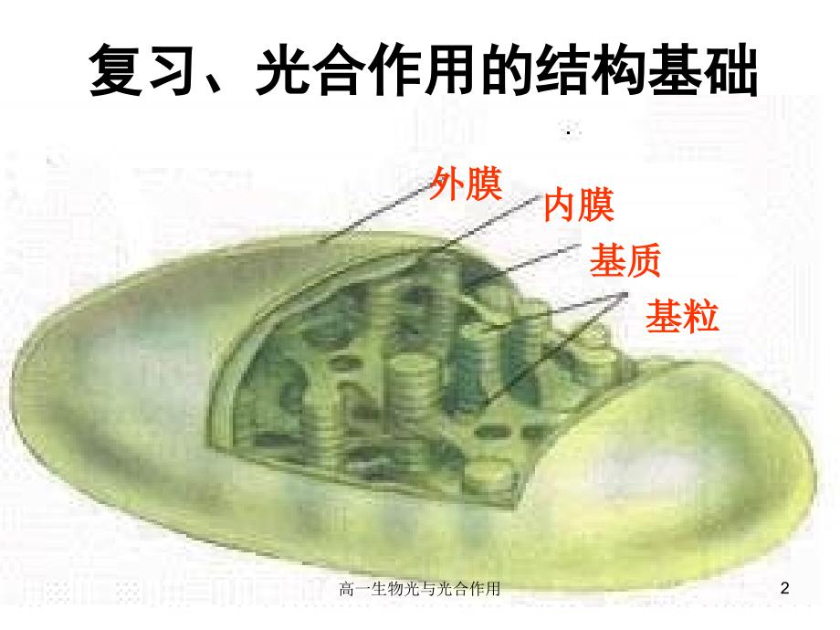 高一生物光与光合作用课件_第2页