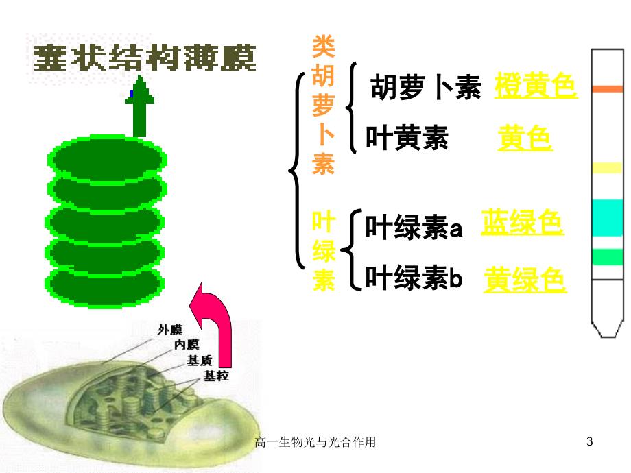 高一生物光与光合作用课件_第3页