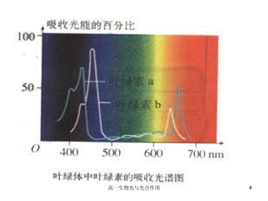 高一生物光与光合作用课件_第4页