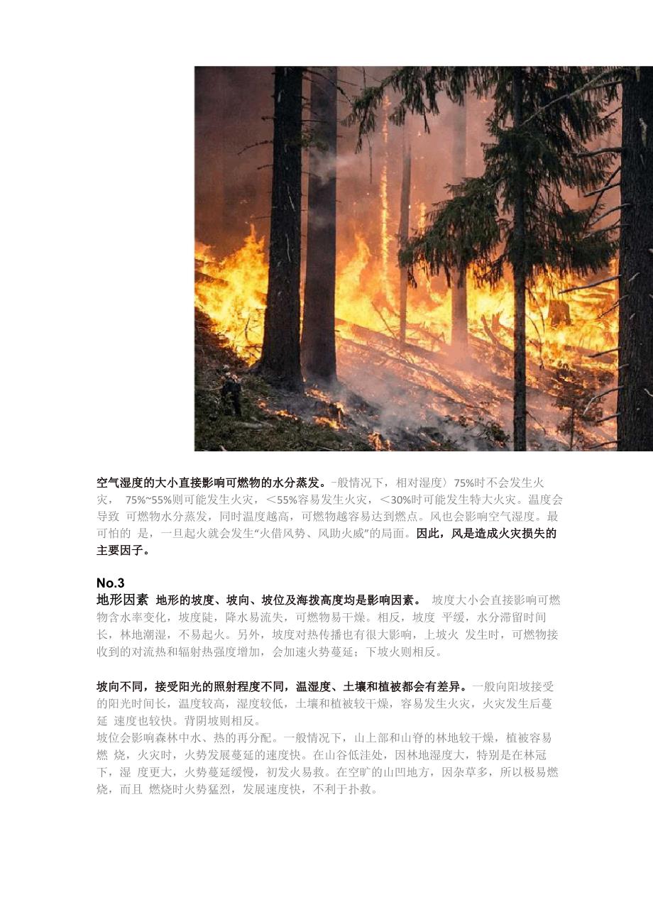 公基备考：可怕的森林火灾是怎样形成的_第2页