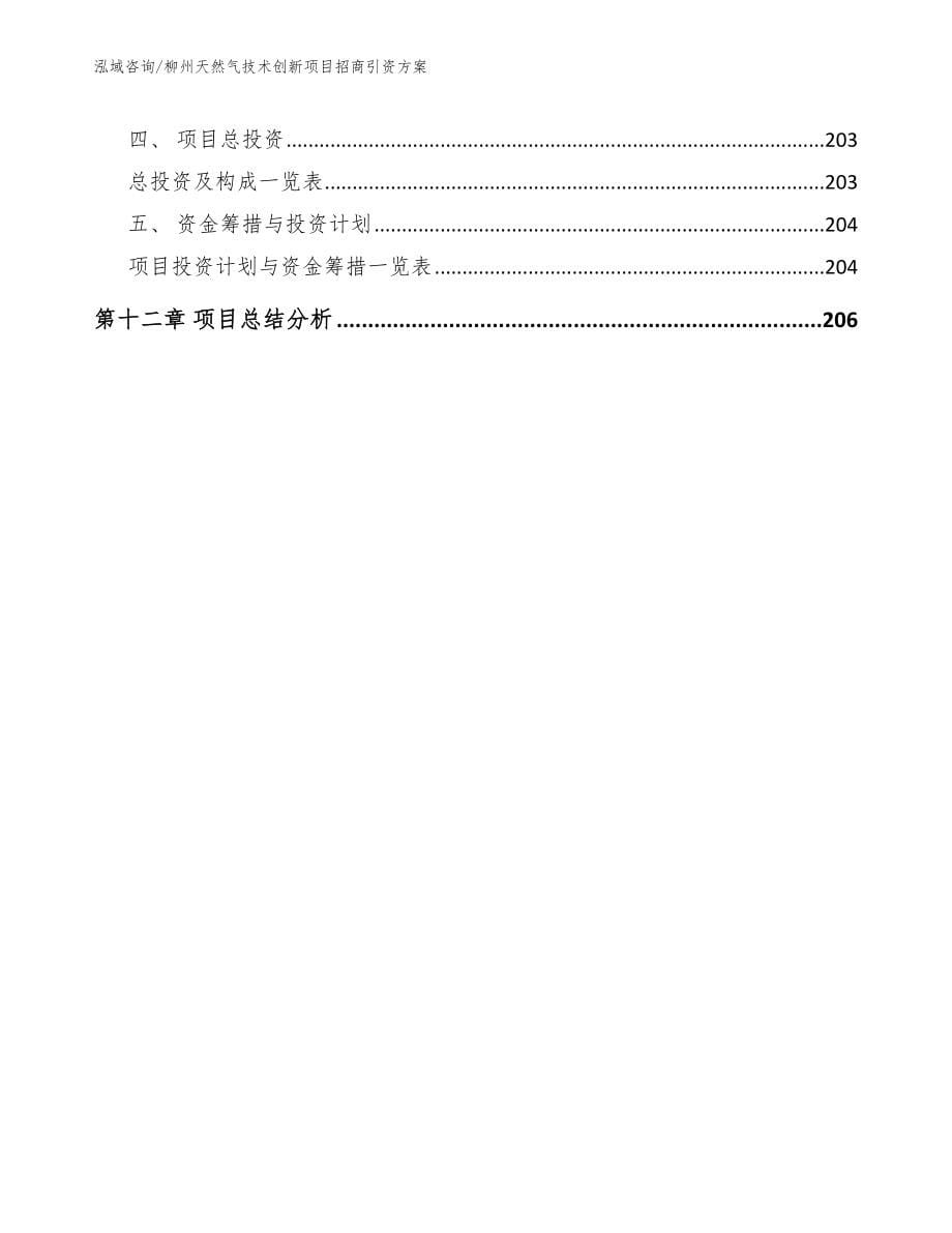 柳州天然气技术创新项目招商引资方案_第5页