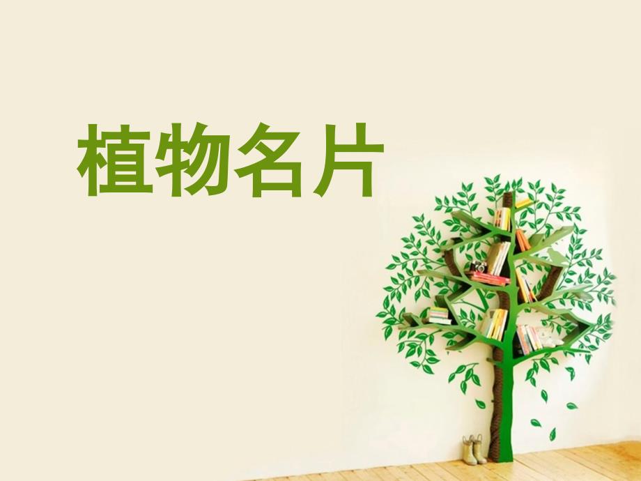 常见植物名片_第1页