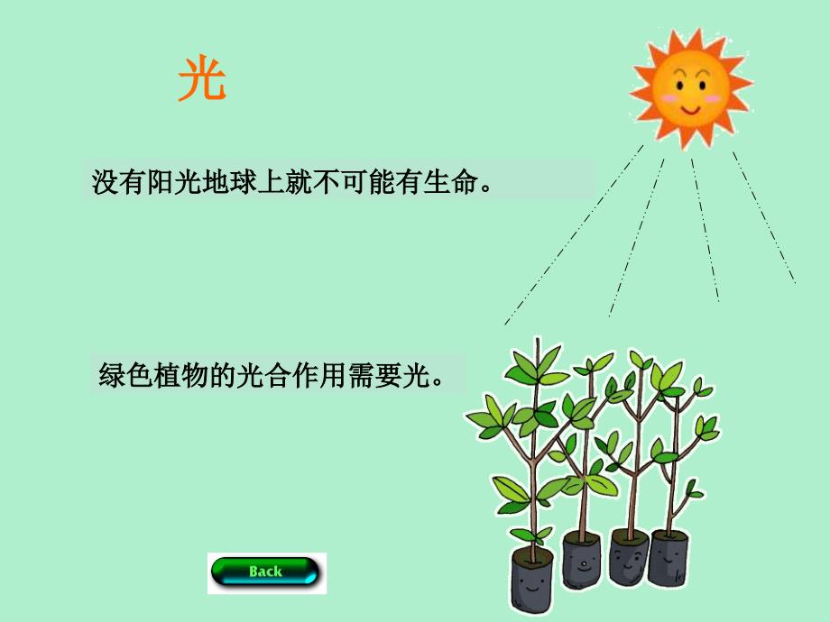 生物和环境的关系_第4页