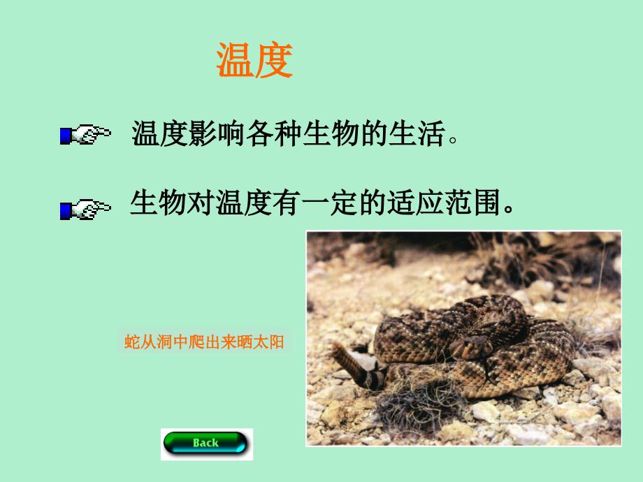 生物和环境的关系_第5页