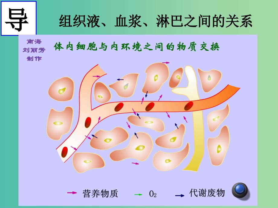 高中生物 1.2 人体内环境稳态课件 新人教版必修3.ppt_第4页