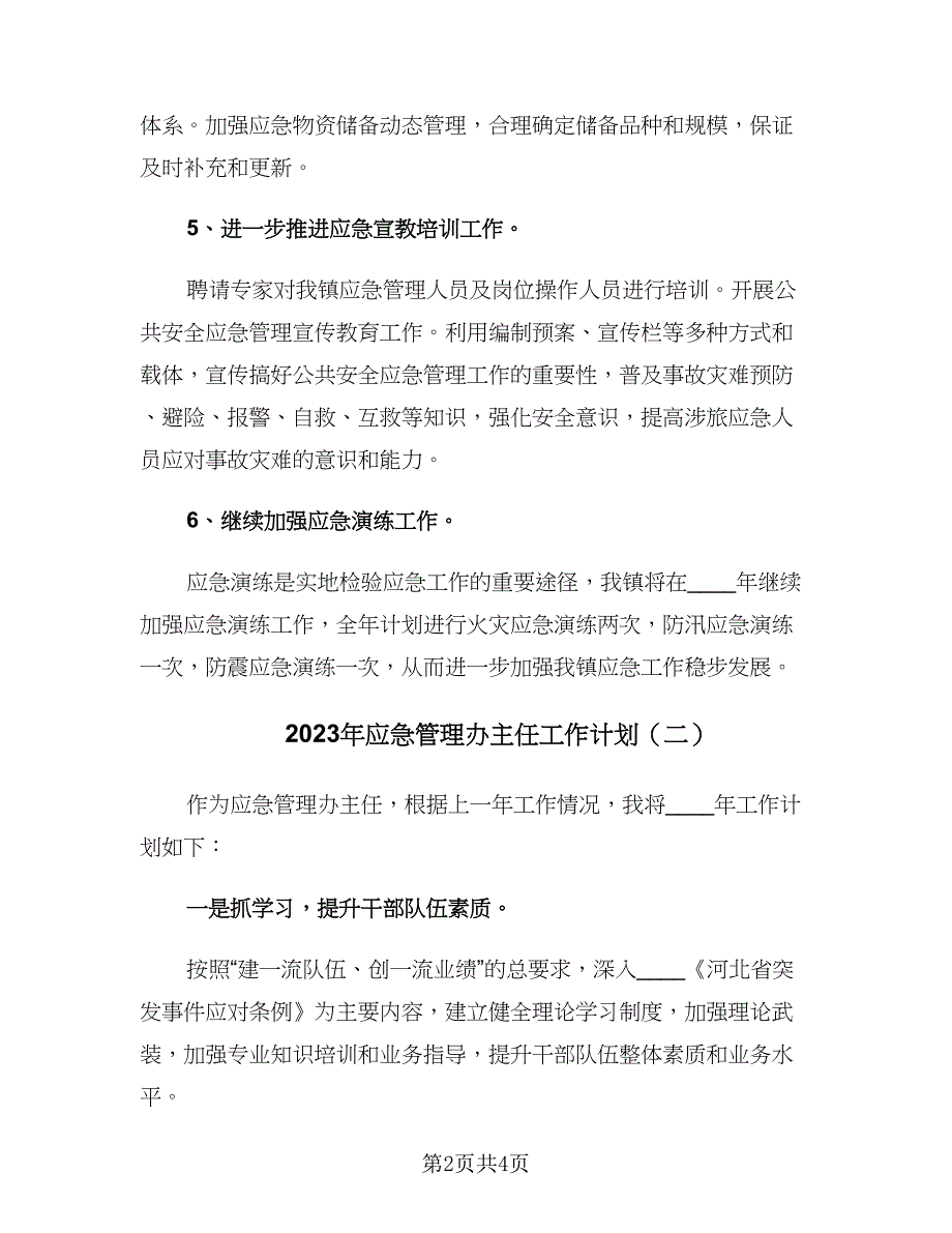 2023年应急管理办主任工作计划（2篇）.doc_第2页