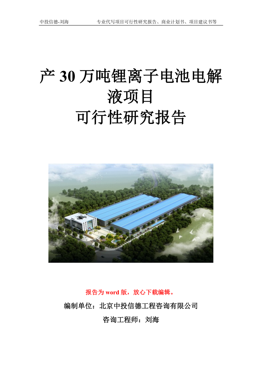 产30万吨锂离子电池电解液项目可行性研究报告写作模板立项备案文件_第1页